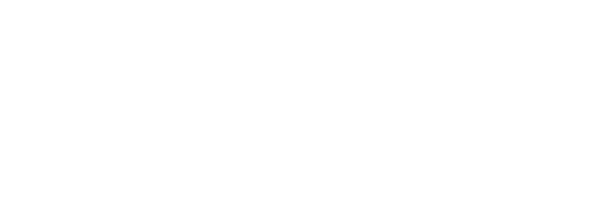 Caroline Ferreira de Assis